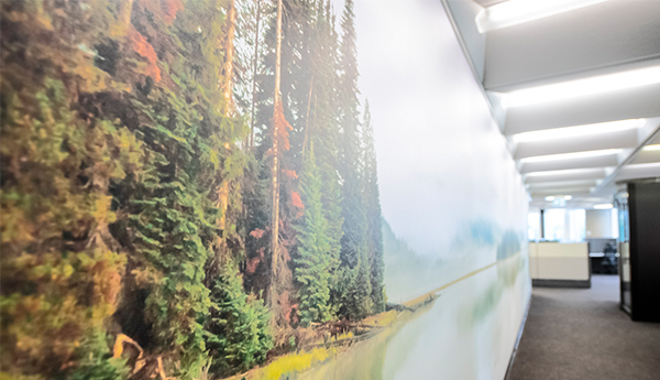 Décoration murale montrant un environnement naturel