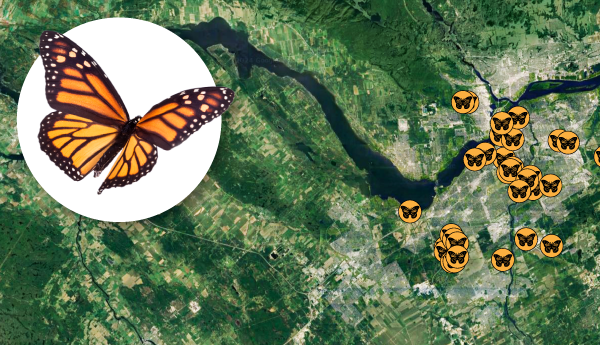 A map with clusters of butterfly icons.