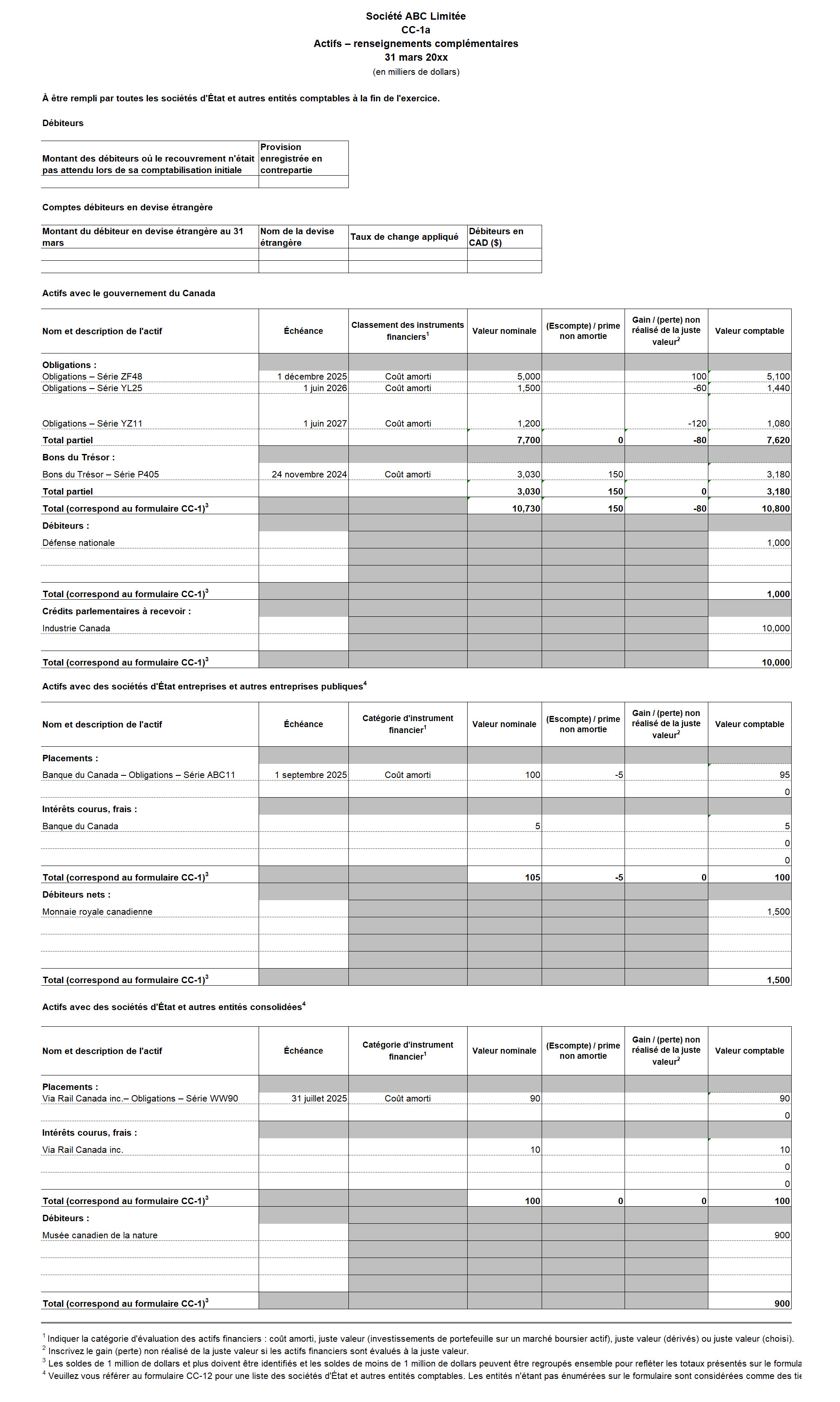Saisie d'écran du formulaire CC-1a : Actifs – Renseignements complémentaires - Version texte sous l'image