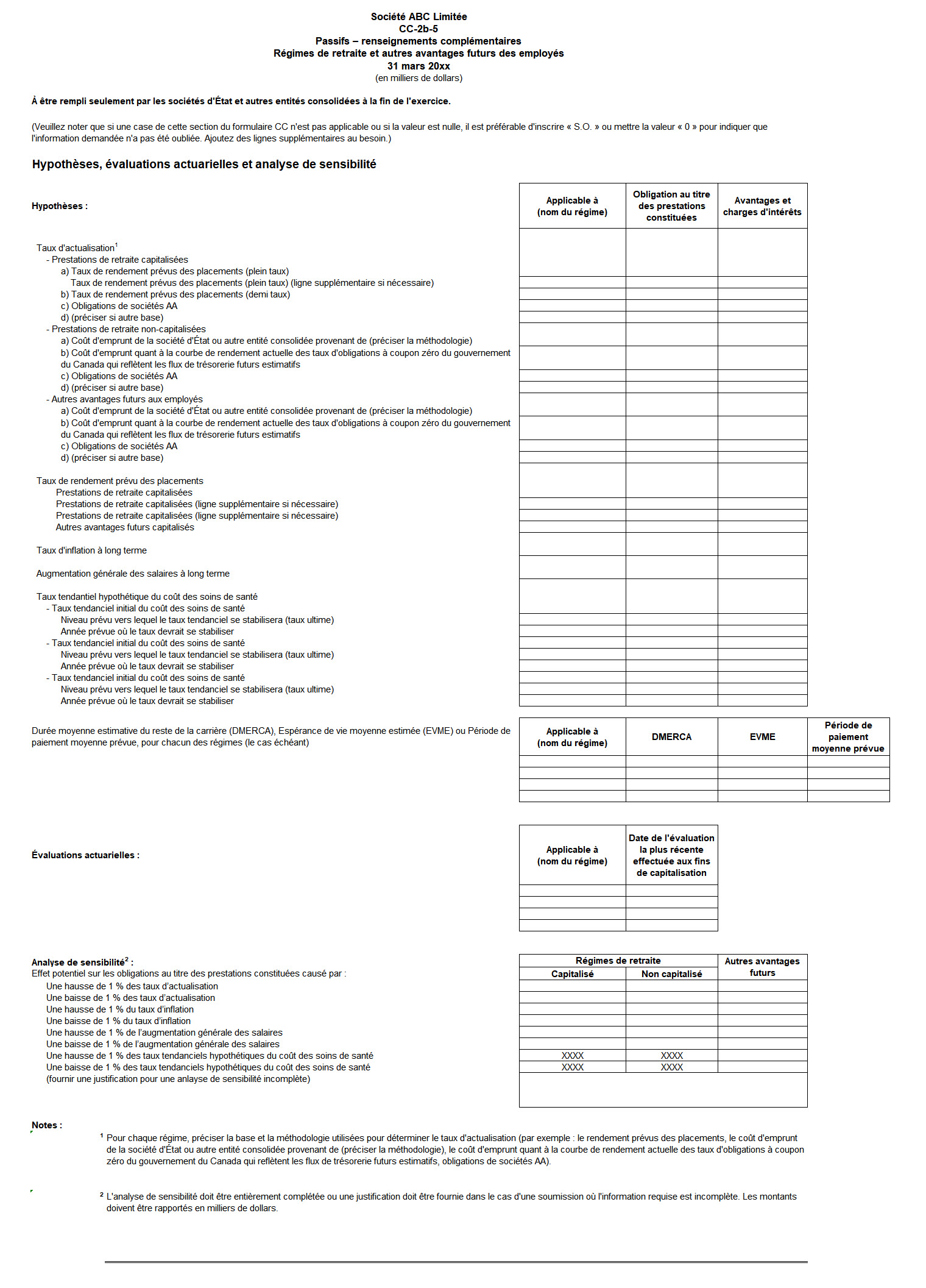 Saisie d'écran du formulaire CC-2b-5 : Passifs – Renseignements complémentaires - Version texte sous l'image