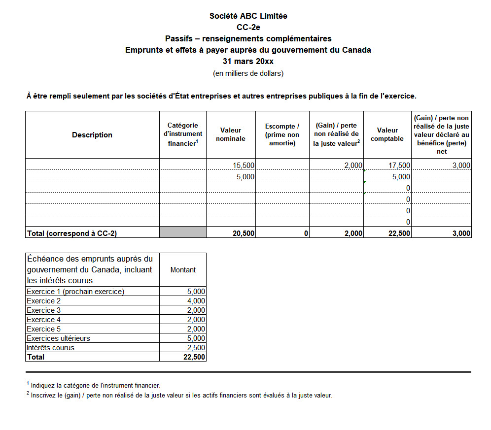 Saisie d'écran du formulaire CC-2e : Passifs – Renseignements complémentaires - Version texte sous l'image