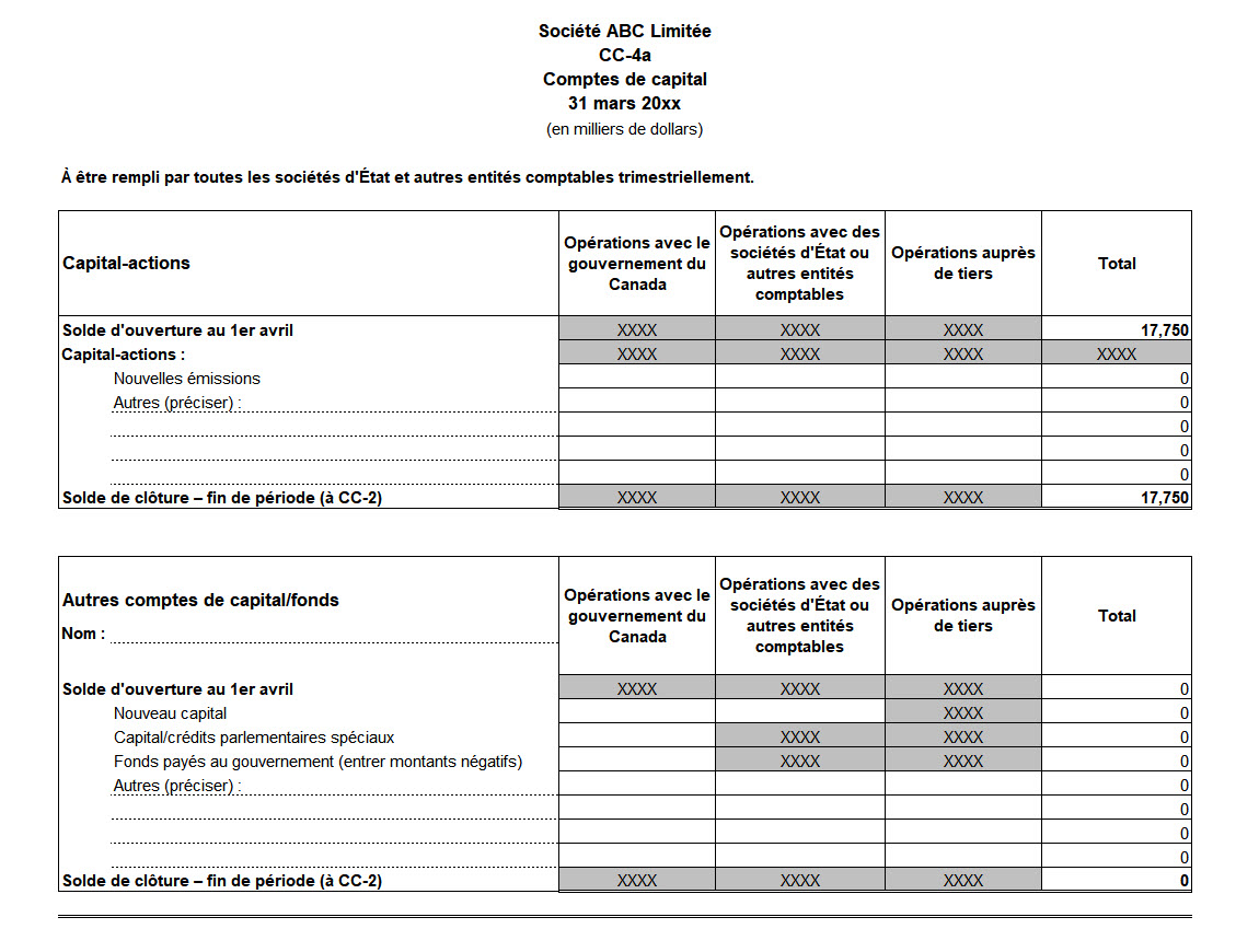 Saisie d'écran du formulaire CC-4a : Comptes de capital - Version texte sous l'image