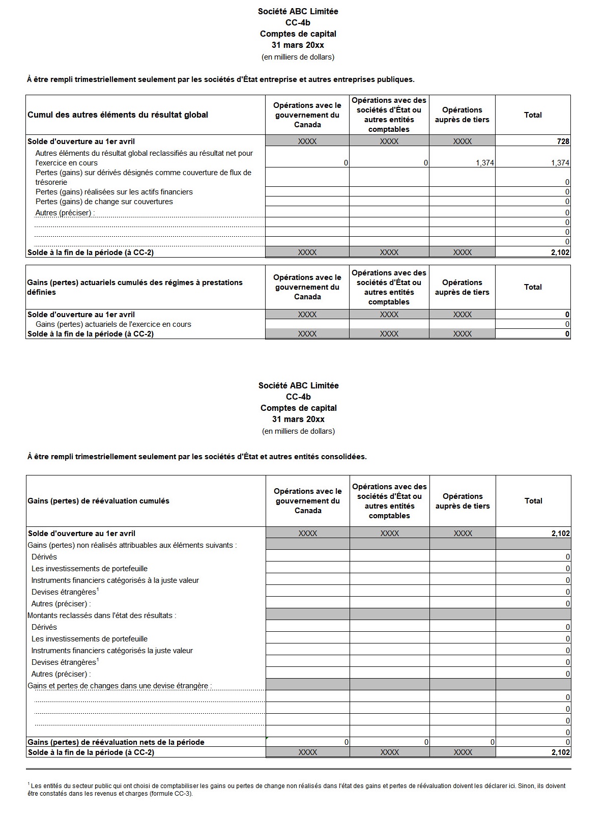 Saisie d'écran du formulaire CC-4b : Comptes de capital - Version texte sous l'image