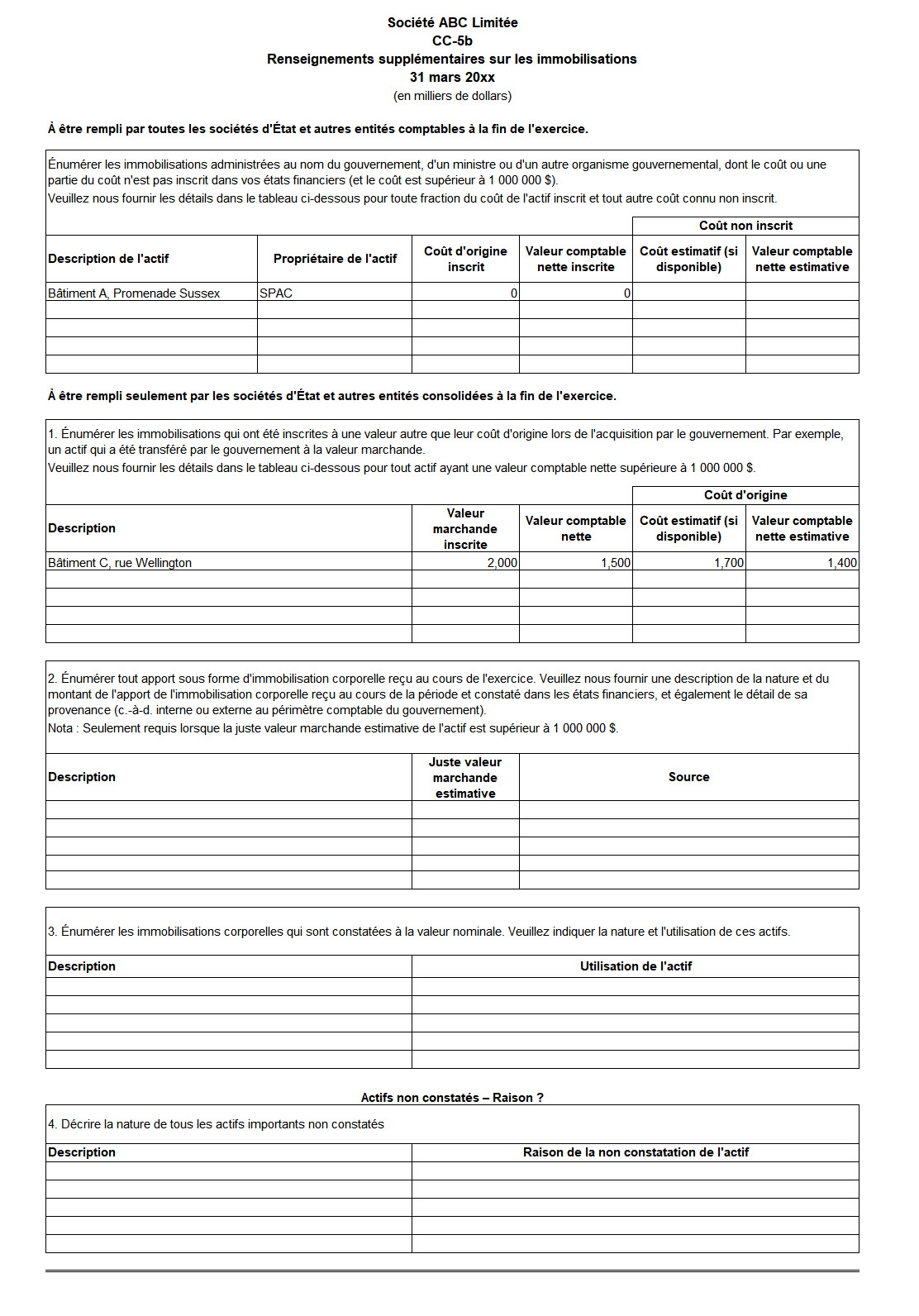 Saisie d'écran du formulaire CC-5b : Renseignements supplémentaires sur les immobilisations - Version texte sous l'image