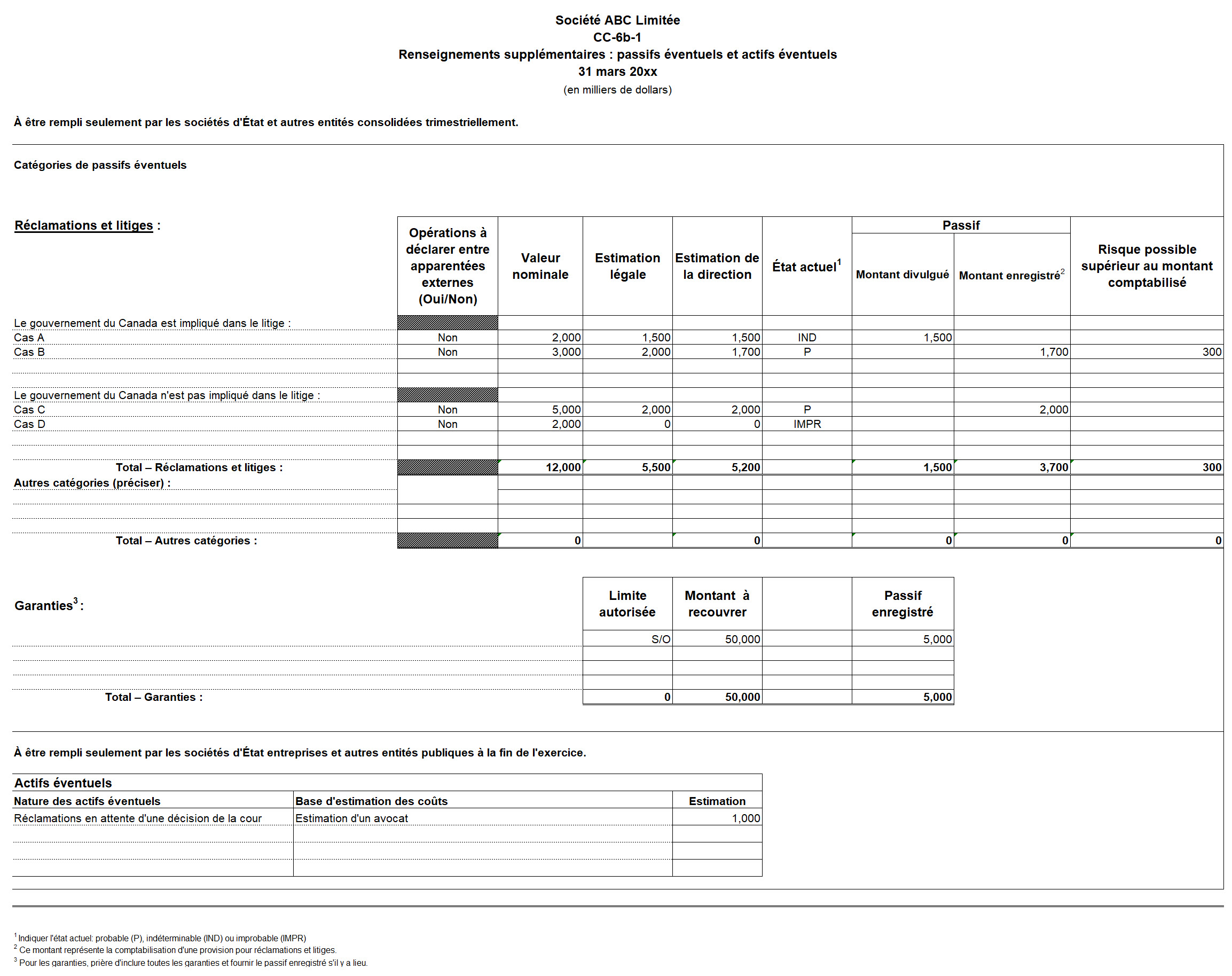 Saisie d'écran du formulaire CC-6b-1 : Renseignements supplémentaires – Passifs éventuels et actifs éventuels - Version texte sous l'image