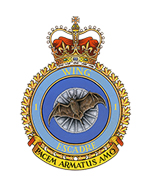 1 Wing Kingston Badge