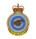 1 Wing Badge