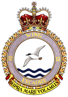 12 Wing Badge
