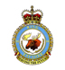 15 Wing Badge