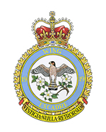 19 Wing Badge