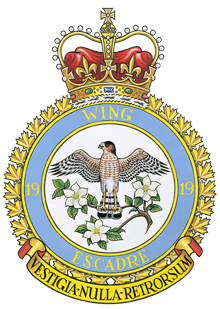 19 Wing Badge