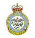 19 Wing Badge