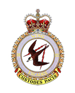 22 Wing Badge