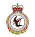 22 Wing Badge