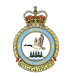 5 Wing Badge