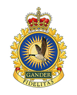 9 Wing Gander Badge
