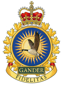 9 Wing Gander Badge