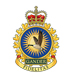9 Wing Gander Badge