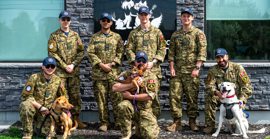Canadian Armed Forces members in uniform pose with dogs.