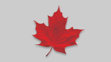 Feuille d'érable