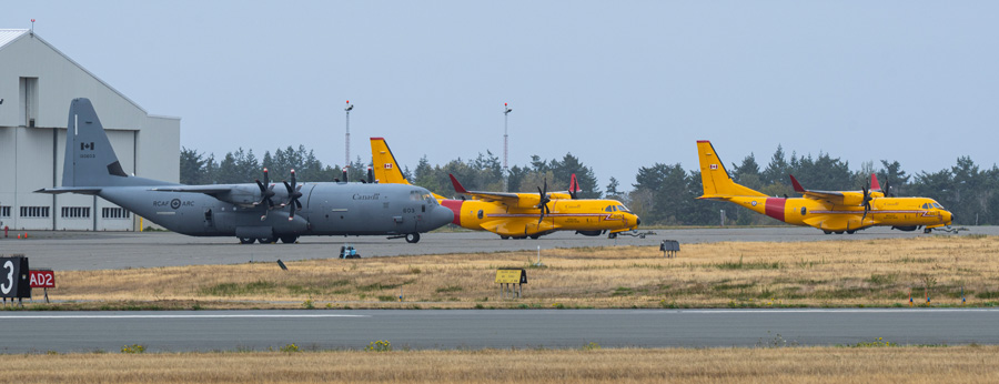 Two yellow search and rescue aircraft and one grey military transport plane are parked on a runway near a hangar.