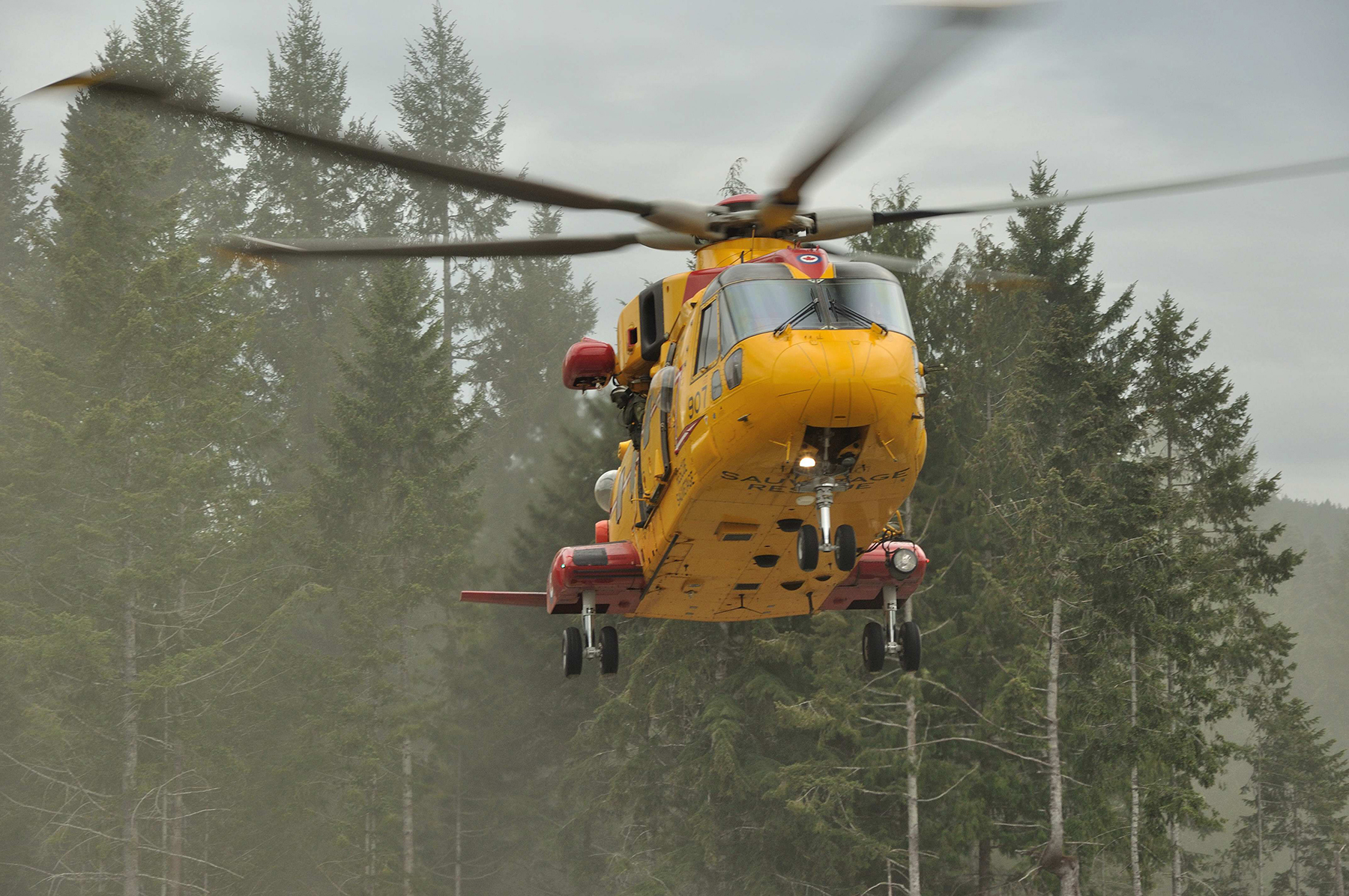 Dans cette photo d’archives, un hélicoptère CH-149 Cormorant de l’Aviation royale canadienne soulève de la poussière en faisant du vol stationnaire devant des arbres. PHOTO : MDN, ISX2012-0020