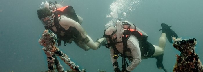 Remotely Operated Vehicles (land and water)