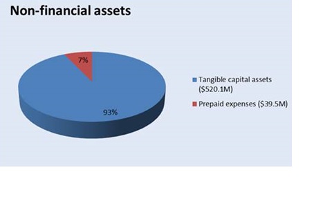 Figure 5 - Non-financial assets