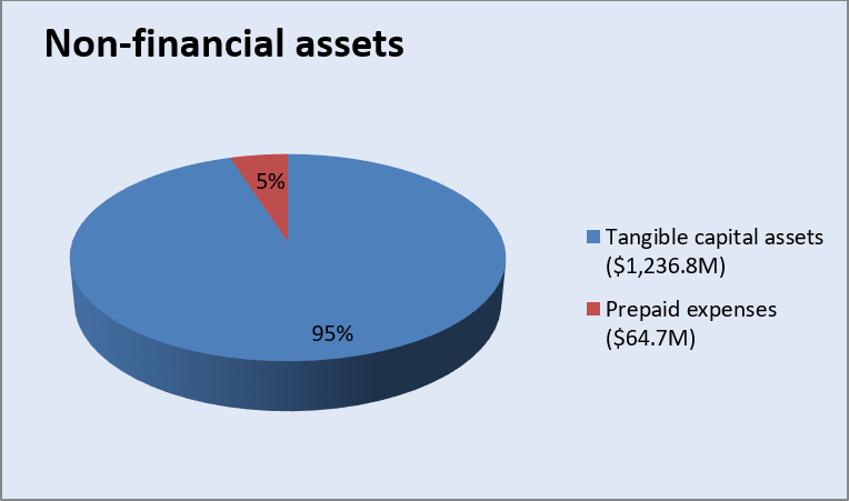 Non-financial assets