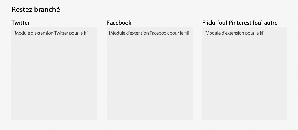 Capture d’écran illustrant le modèle de widget des flux de médias sociaux dans le site Canada.ca. Plus de détails au sujet de ce graphique se retrouvent dans le texte entourant l’image.