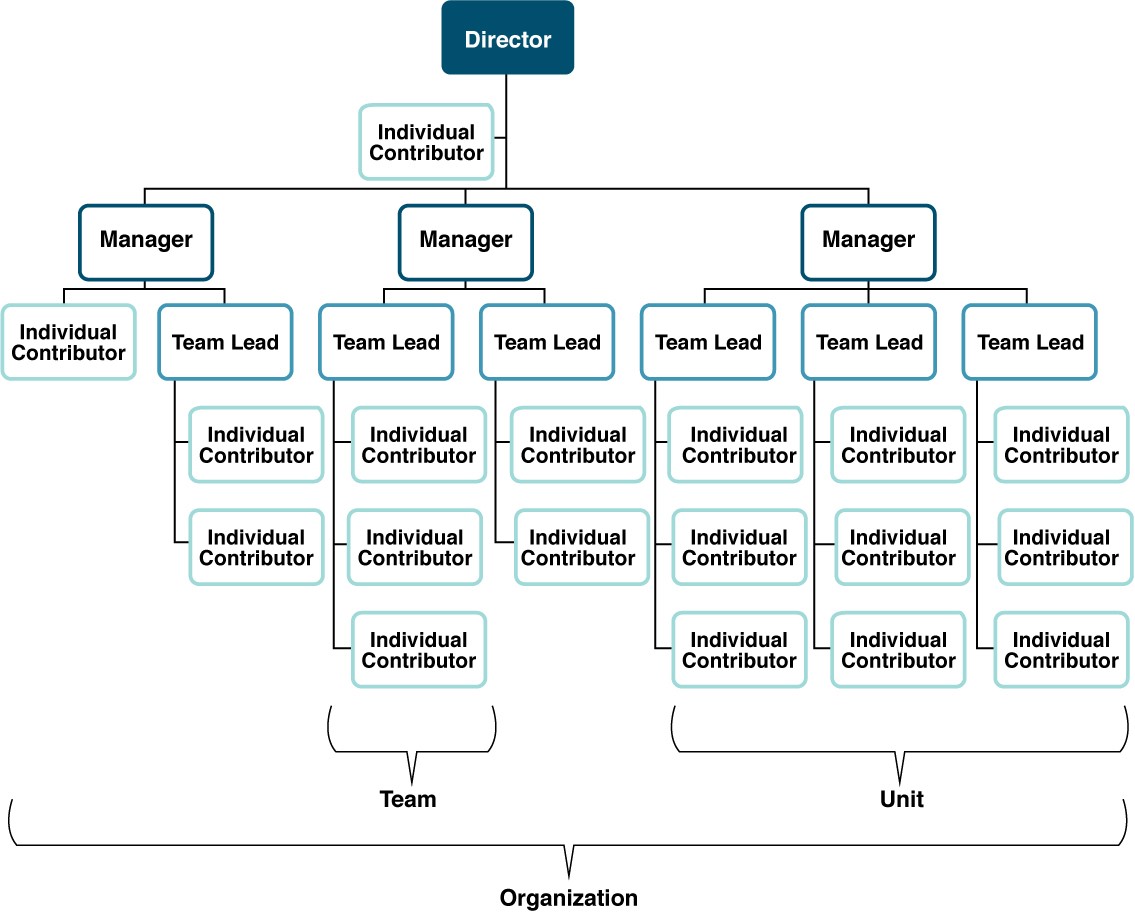 Figure 2: Organizational nomenclature