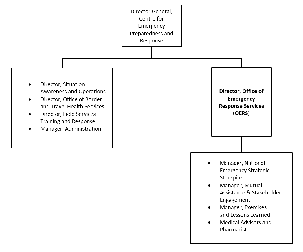 Organization Chart. Text version below: