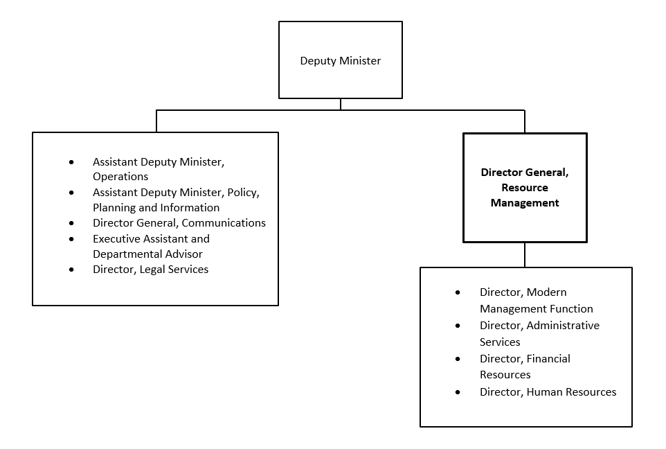 Organization Chart. Text version below: