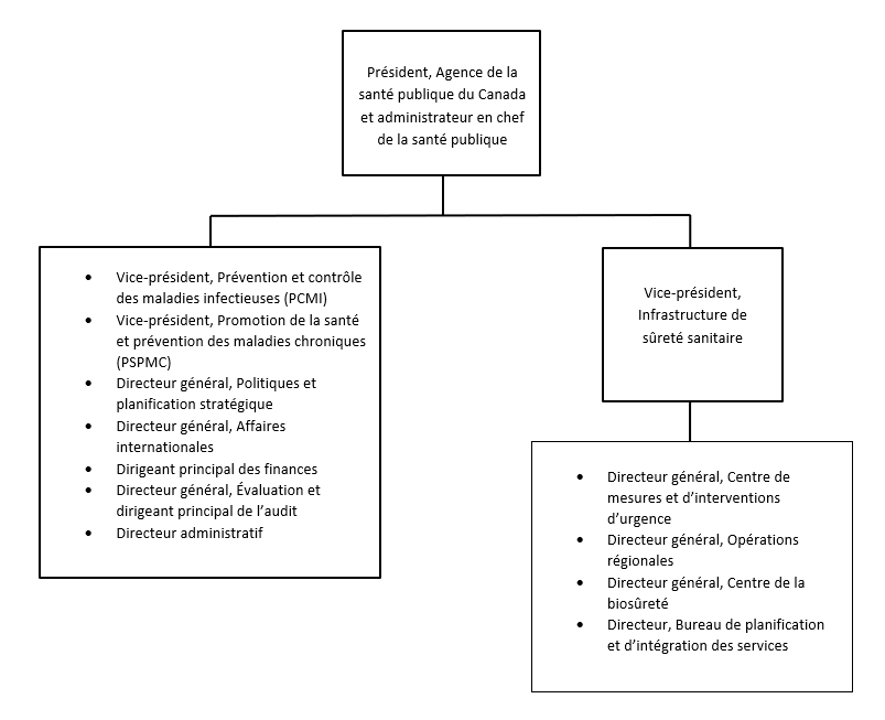 Organigramme. Version textuelle ci-dessous :