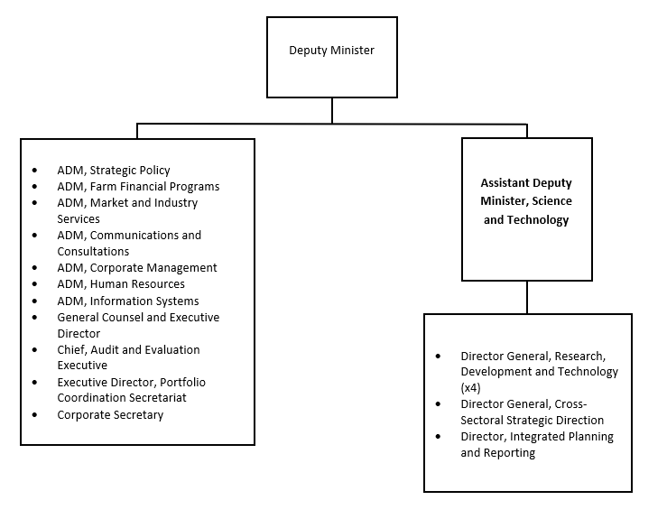 Organization Chart. Text version below: