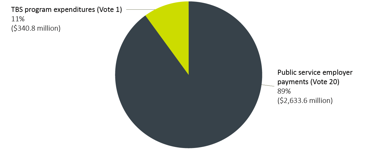 TBS total actual spending, by category (votes 1 and 20), 2019–20.