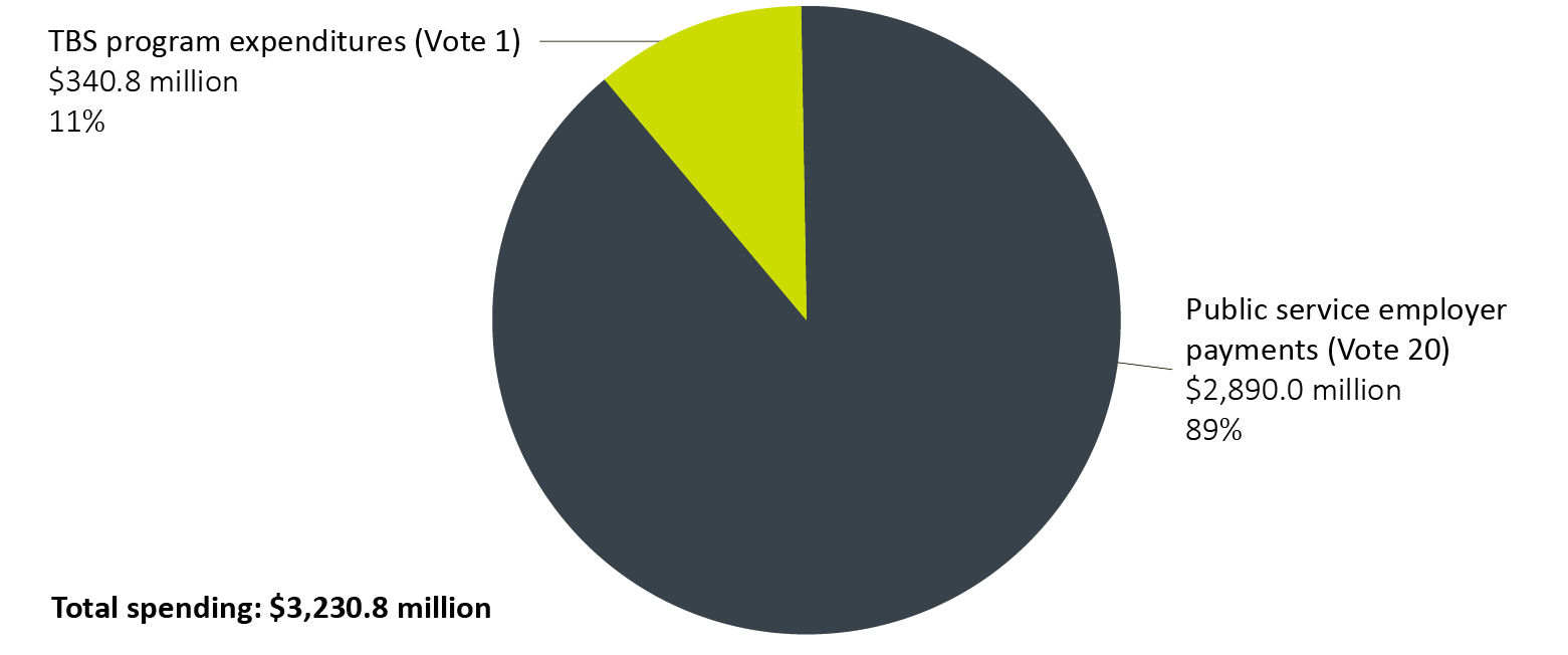 TBS total actual spending, by category  (votes 1 and 20), 2020–21