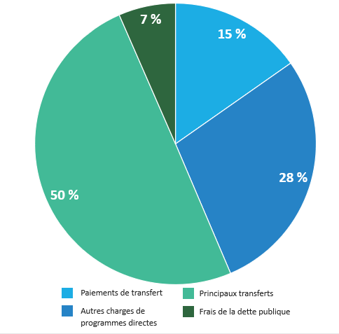 Government of Canada Expenses in 2019-20, by Type of Programming. Version textuelle ci-dessous: