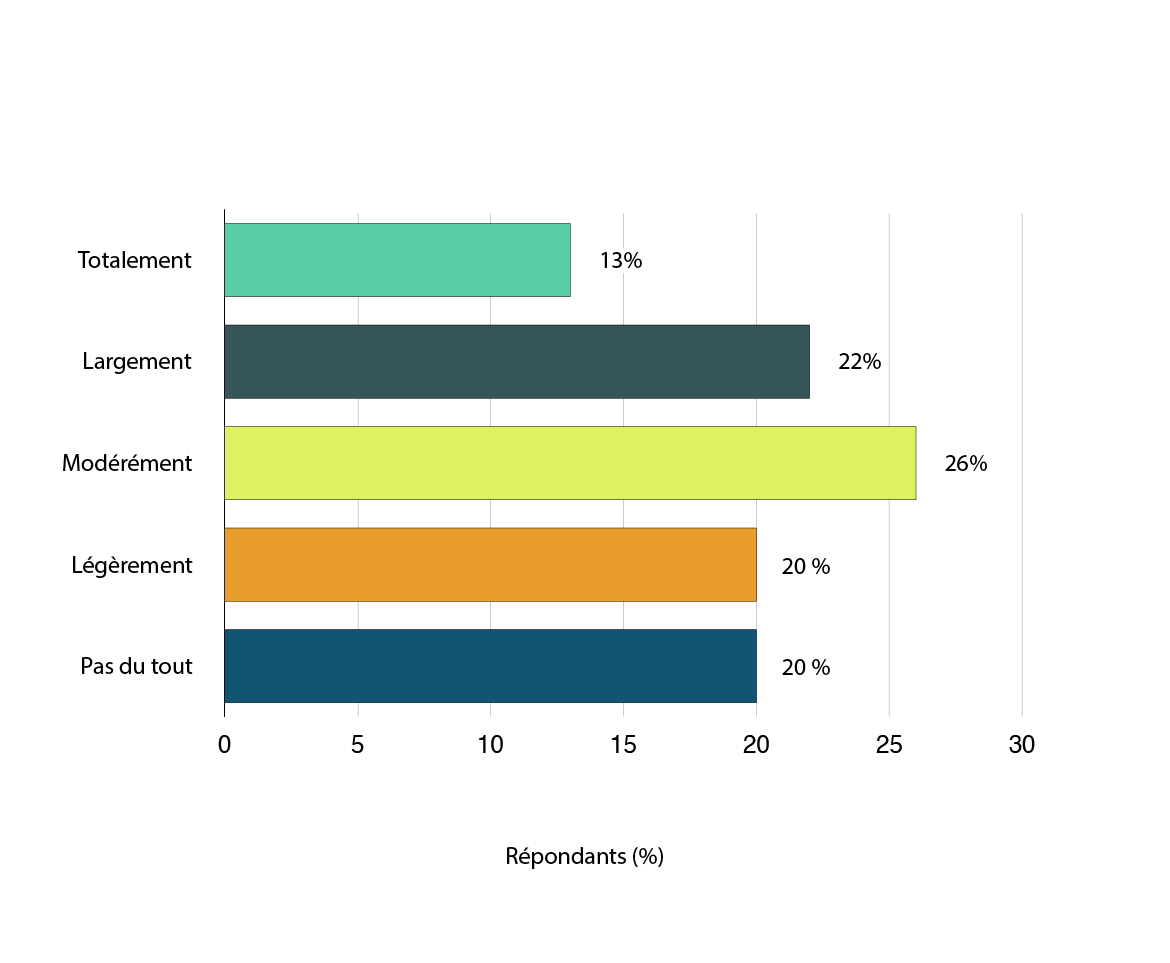 Figure 5. Version textuelle en bas