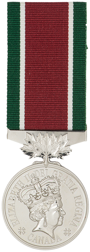 Médaille du service général – Asie du Sud-Ouest (MSG-ASO)