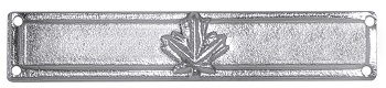 Meritorious Service Medal (MSM) Silver Bar