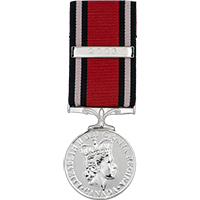 Queen's Medal for Champion Shot