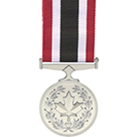 Médaille du service spécial (MSS)