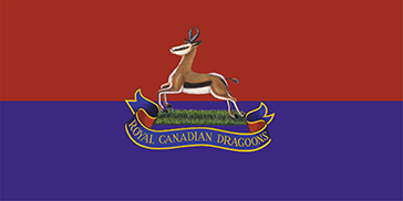 Camp flag