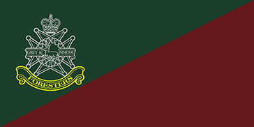 Camp flag