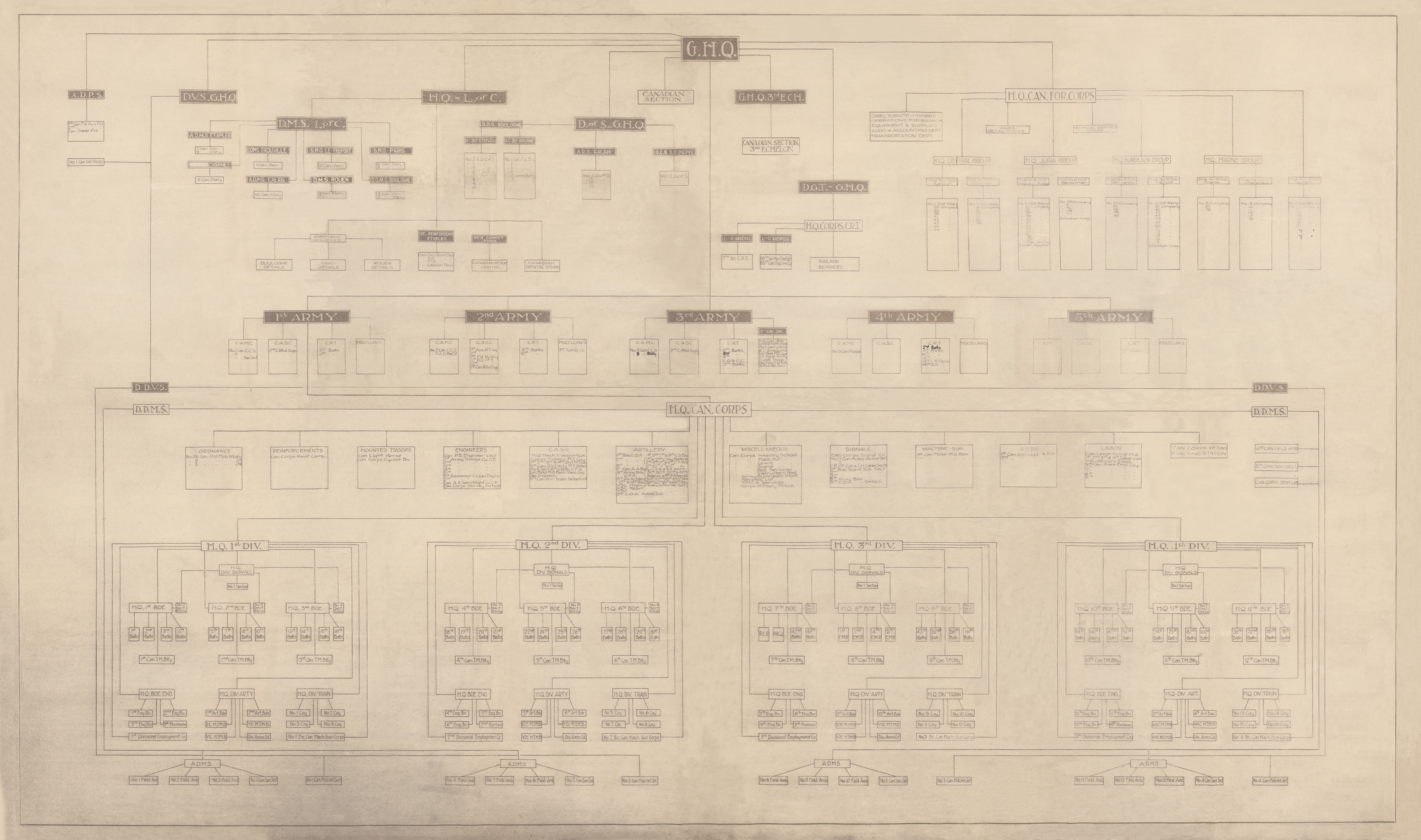 Force Organization Chart