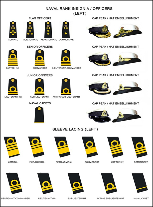 Dress instructions | Section 2 Rank insignia and appointment badges ...