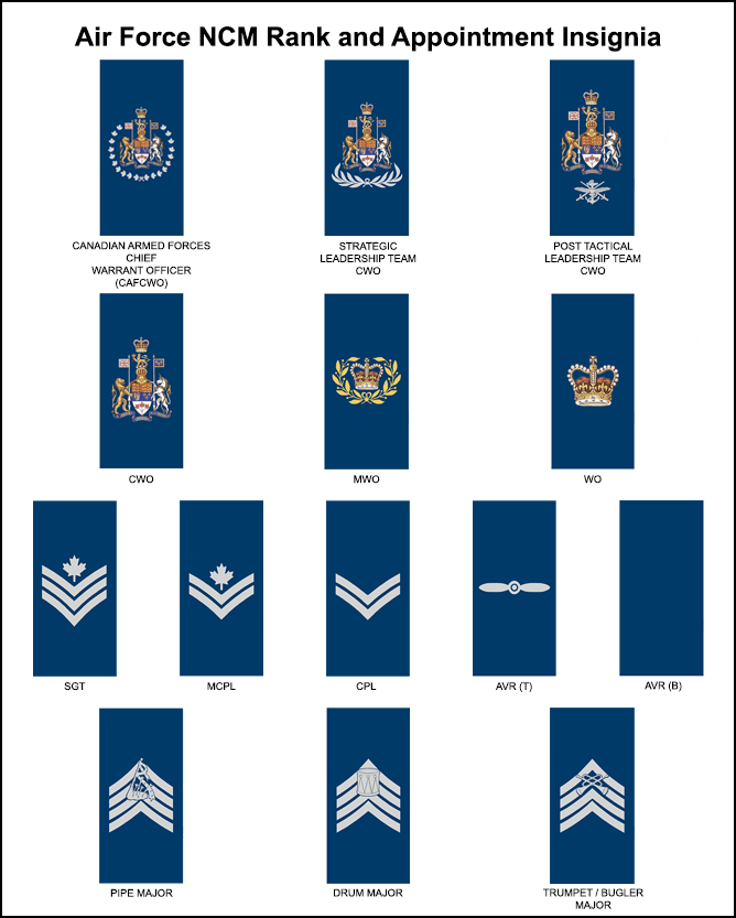 Dress instructions | Section 2 Rank insignia and appointment badges ...