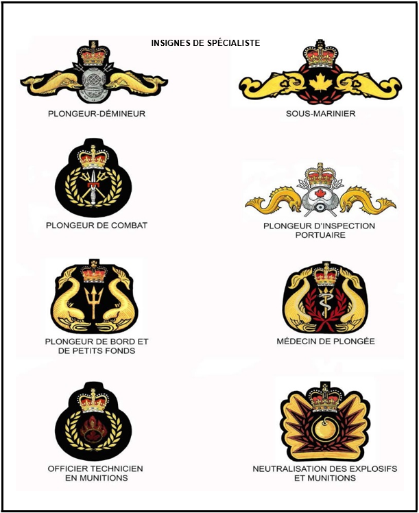 Badge Militaire Plaquette Patronymique
