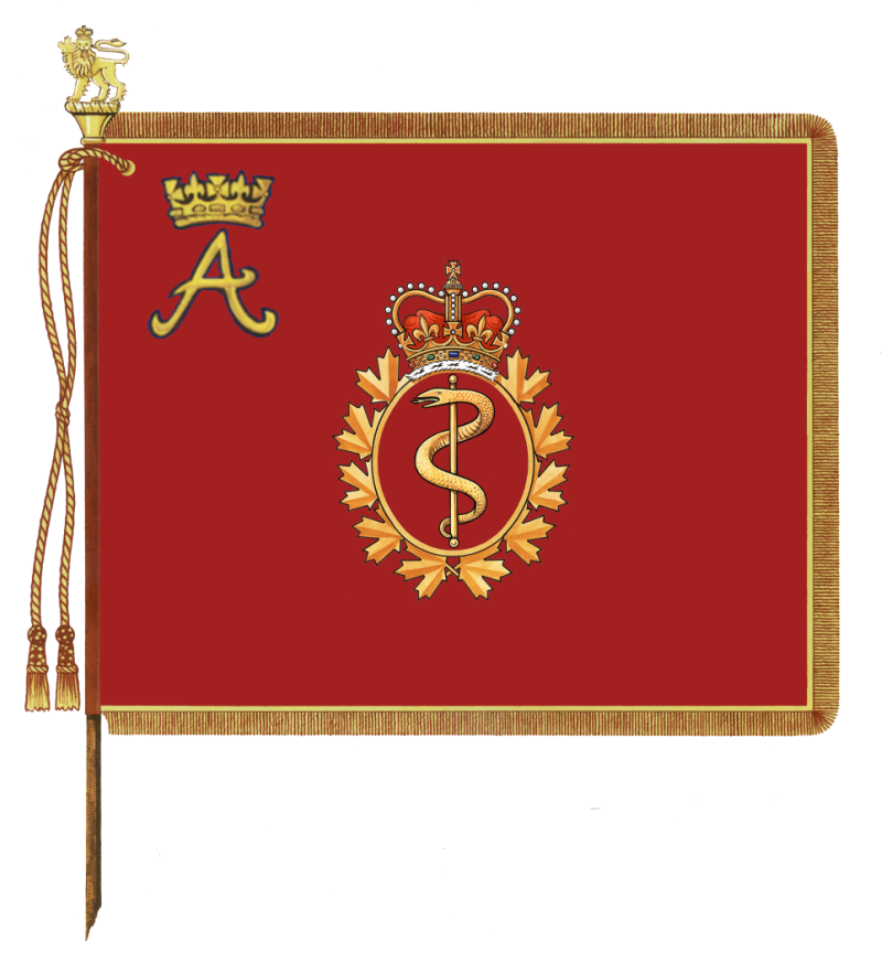 Royal Canadian Medical Service Royal Banner